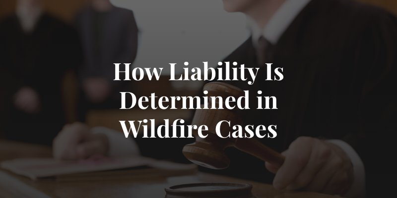 How Liability Is Determined in Wildfire Cases