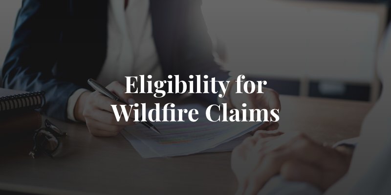 who can file a wildfire damage claim?
