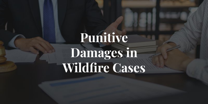 are punitive damages awarded in wildfire cases