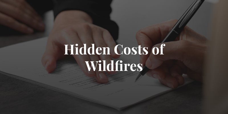 The hidden cost of wildfires